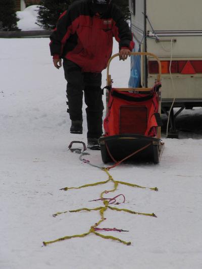 Hundeschlitten Gespann vorbereiten
Die Zugleinen sind ausgelegt. Der Musher tritt gerade den Schneeanker fest, damit der Schlitten von den Hunden nicht gleich weggezogen wird.