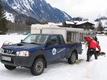 Nissan Pick Up mit 10 Hunden