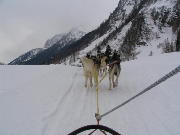 Rauriser Tal aufwärts hinter Schlittenhunde
Die Fahrt geht das Rauriser Tal aufwärts. Wie einst beim Goldrausch in Alaska gibt es auch in diesem Tal Gold, allerdings viel zu wenig um davon reich werden zu können.