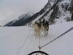 Rauriser Tal aufwärts hinter Schlittenhunde