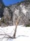 Avalanche departure: tree stump