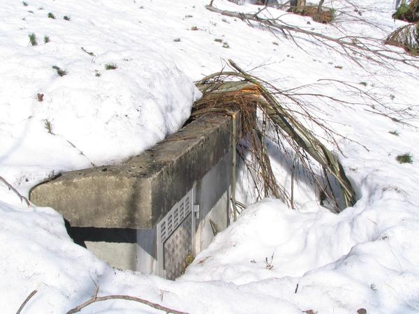 Tempo of a Lwaine: edge broken
This tree stood over half of this concrete hut for the water supply. The avalanche broke off the tree so fast that he broke off with the impact a second time at the edge.